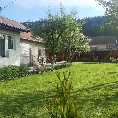 Guest house Pensiunea Cristina 3*